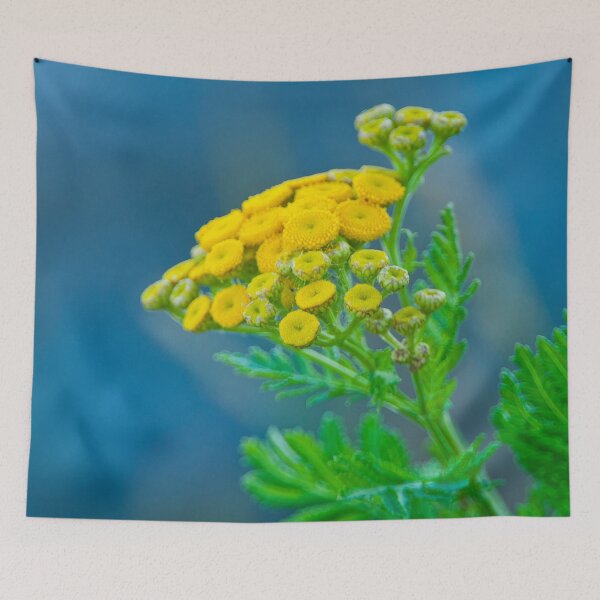 Item preview, Common Tansy designed and sold by Michael Cummings.