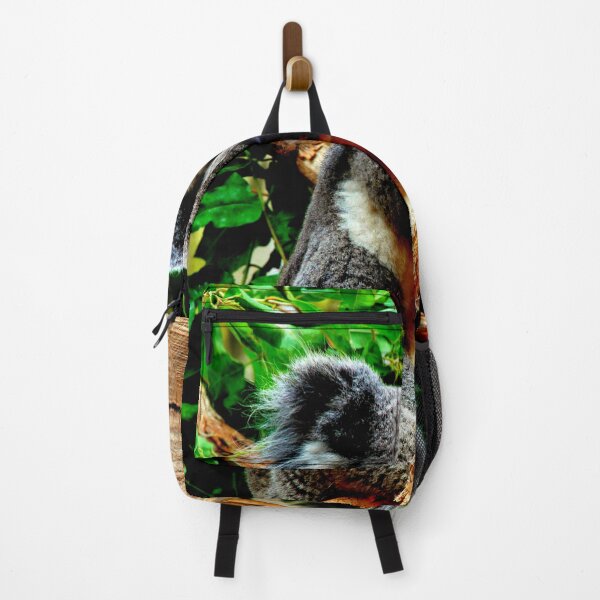 Artikelvorschau, Koala-Foto in hochauflösender Qualität entworfen und verkauft von Allyouneed-2.