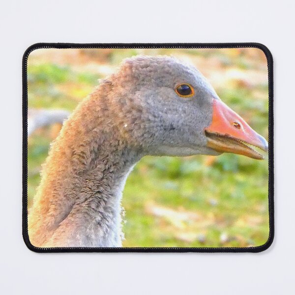 Item preview, Greylag gosling designed and sold by angel1.