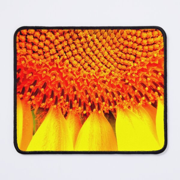 Item preview, Sunflower detail designed and sold by angel1.