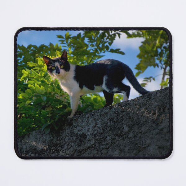 Item preview, That Insolent Darn Cat II designed and sold by alabca.