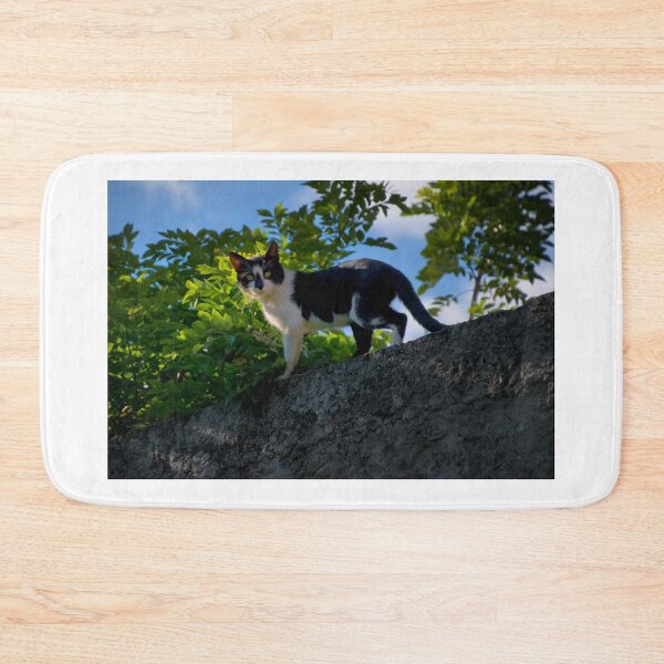 Item preview, That Insolent Darn Cat II designed and sold by alabca.