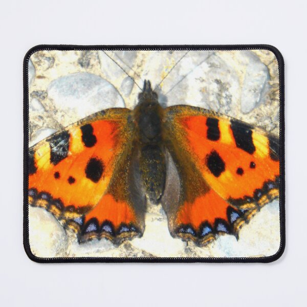 Item preview, Small Tortoiseshell Butterfly designed and sold by angel1.