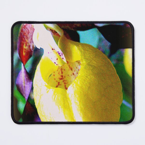 Item preview, Yellow Lady's Slipper designed and sold by angel1.