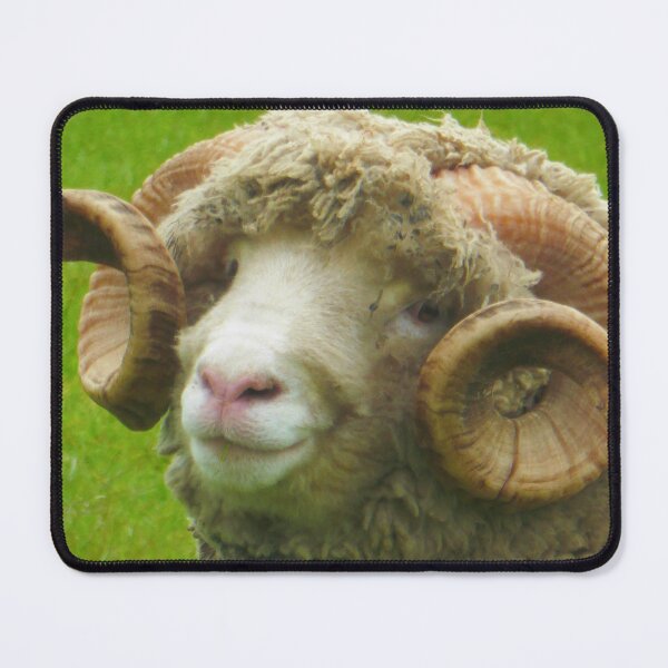 Item preview, The Shepton Ram designed and sold by angel1.