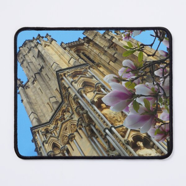Item preview, Wells Cathedral with magnolia designed and sold by angel1.