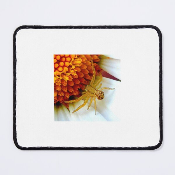 Item preview, Baby Crab Spider designed and sold by angel1.
