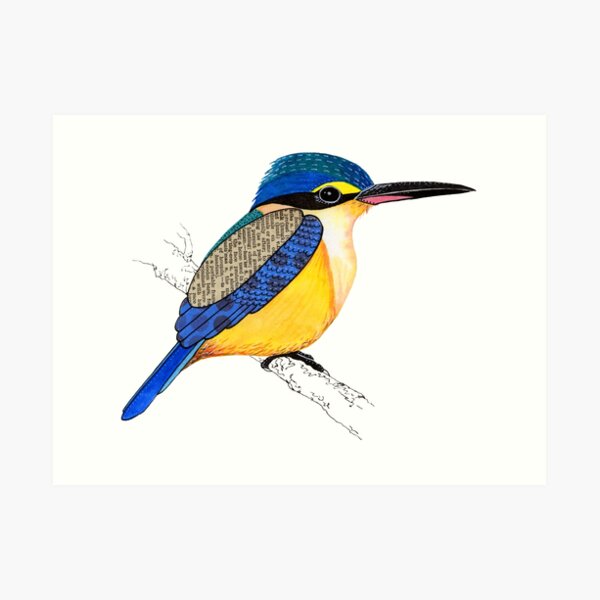 Sacred Kingfisher Art Print