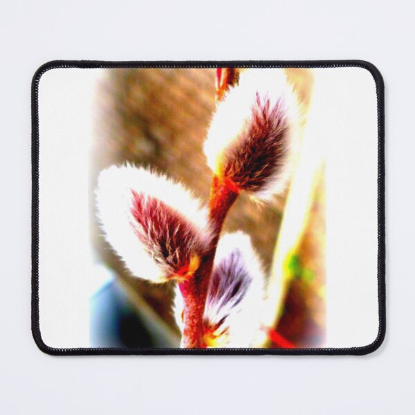 Item preview, Willows for Palm Sunday designed and sold by angel1.