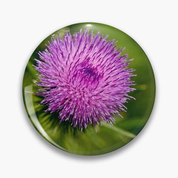 Item preview, Bull Thistle designed and sold by Michael Cummings.
