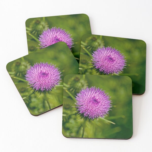Item preview, Bull Thistle designed and sold by Michael Cummings.