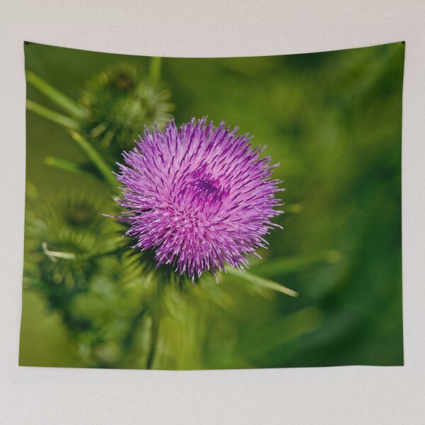 Item preview, Bull Thistle designed and sold by Michael Cummings.