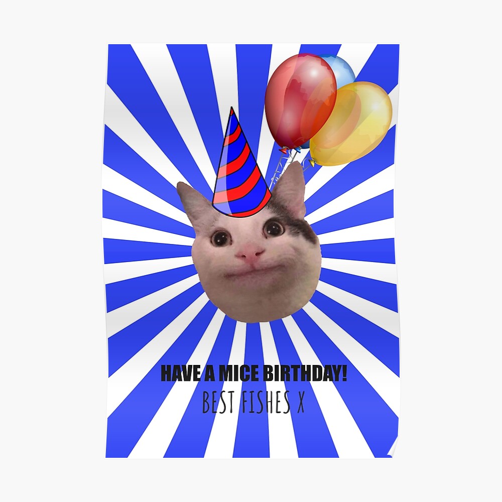 Cat meme birthday funny cake, best day, it's my party
