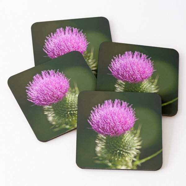 Item preview, Bull Thistle designed and sold by Michael Cummings.