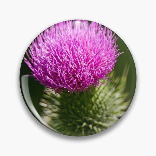 Item preview, Bull Thistle designed and sold by Michael Cummings.