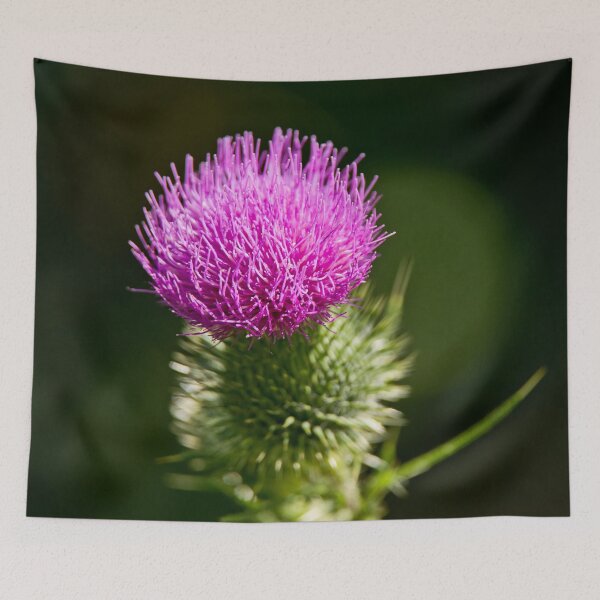 Item preview, Bull Thistle designed and sold by Michael Cummings.