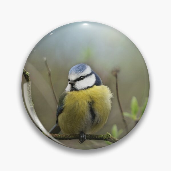 Item preview, Little Blue Tit & First Signs of Spring designed and sold by MoragBates.