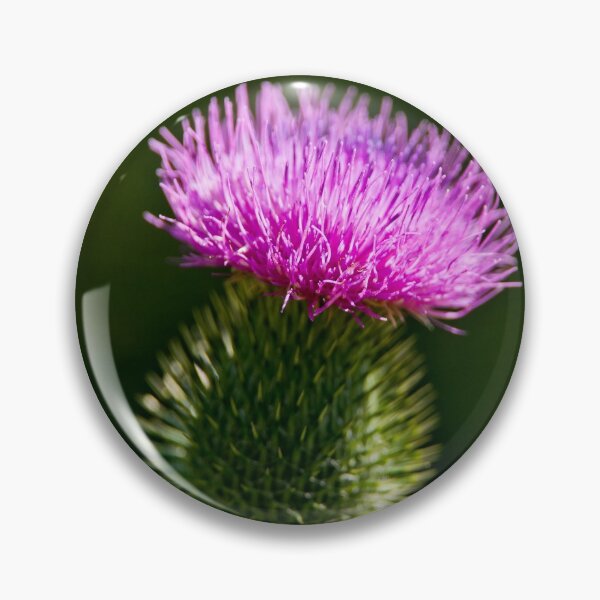 Item preview, Bull Thistle designed and sold by Michael Cummings.