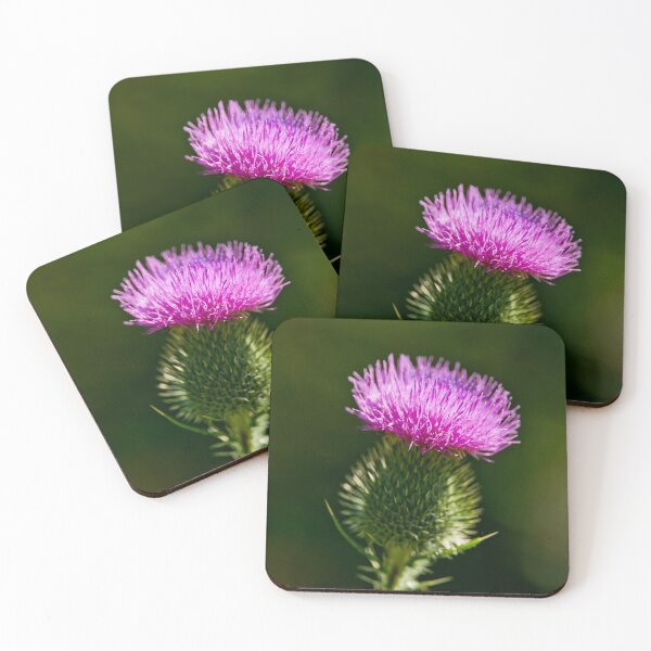 Item preview, Bull Thistle designed and sold by Michael Cummings.