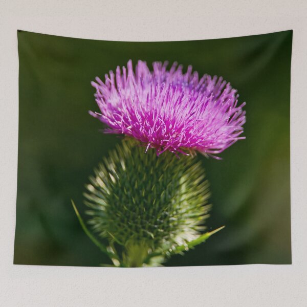 Item preview, Bull Thistle designed and sold by Michael Cummings.