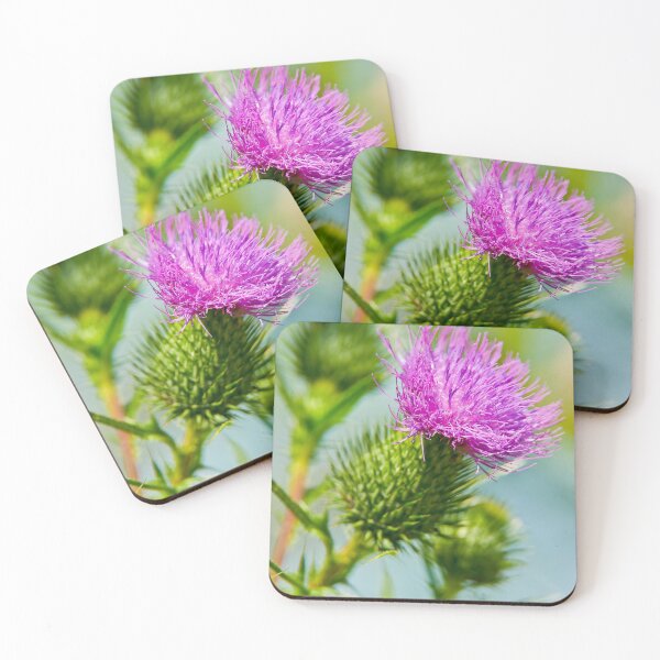 Item preview, Bull Thistle designed and sold by Michael Cummings.