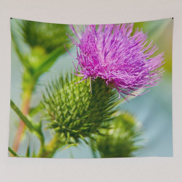 Item preview, Bull Thistle designed and sold by Michael Cummings.