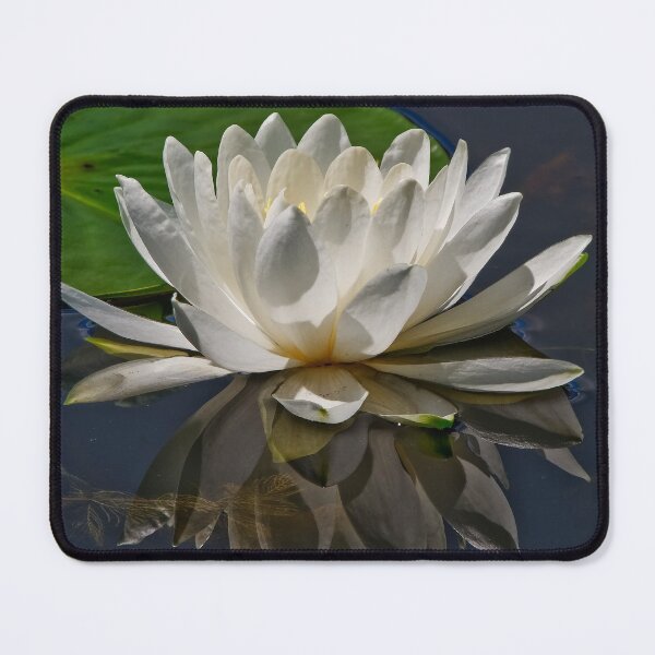 Item preview, White Waterlily designed and sold by Michael Cummings.