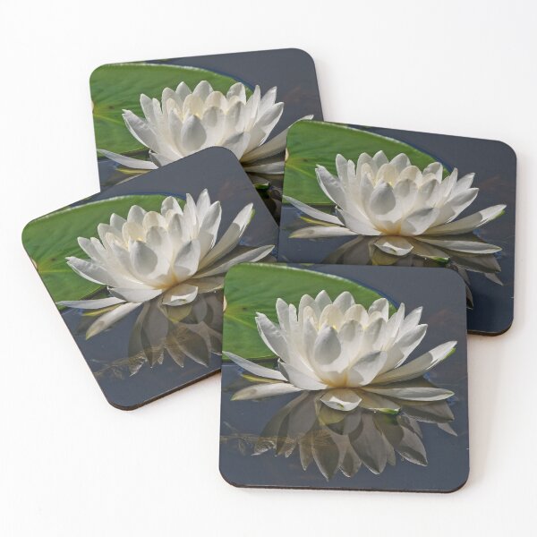 Item preview, White Waterlily designed and sold by Michael Cummings.