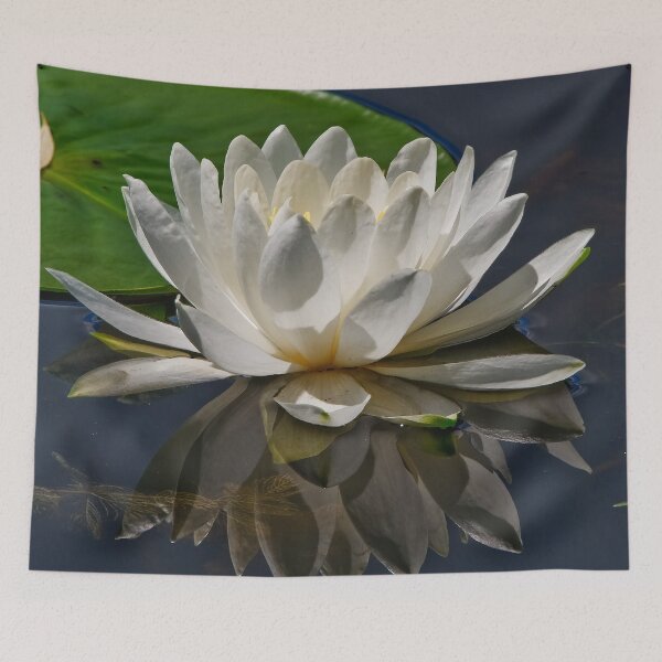 Item preview, White Waterlily designed and sold by Michael Cummings.