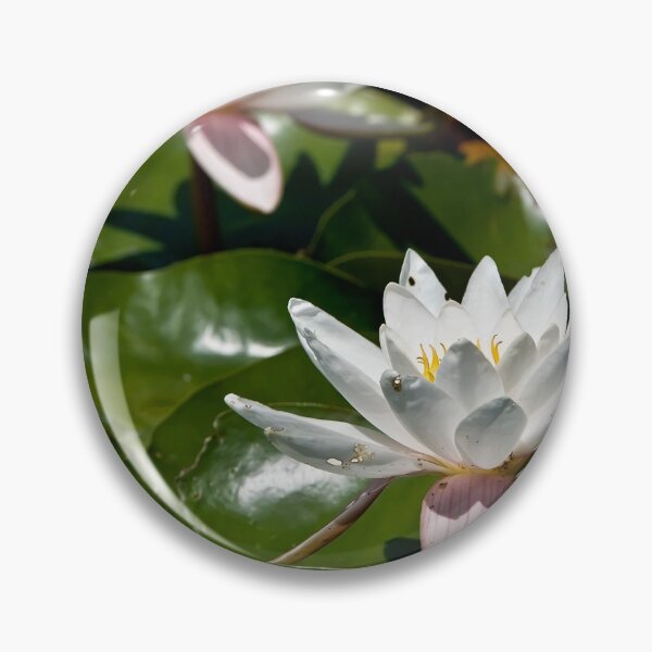 Item preview, White Waterlily designed and sold by Michael Cummings.