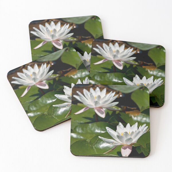 Item preview, White Waterlily designed and sold by Michael Cummings.