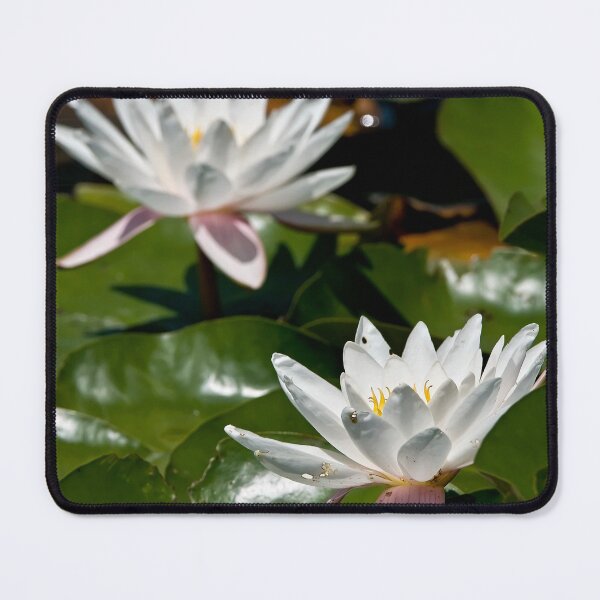 Item preview, White Waterlily designed and sold by Michael Cummings.