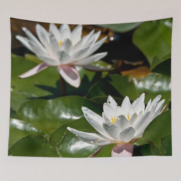 Item preview, White Waterlily designed and sold by Michael Cummings.