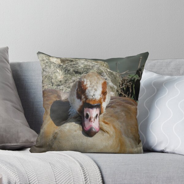 Item preview, Close up of an Egyptian Goose designed and sold by Ann Biddlecombe.