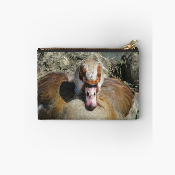 Item preview, Close up of an Egyptian Goose designed and sold by Ann Biddlecombe.