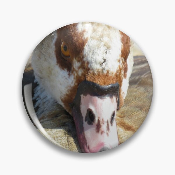 Item preview, The face of an Egyptian Goose designed and sold by Ann Biddlecombe.