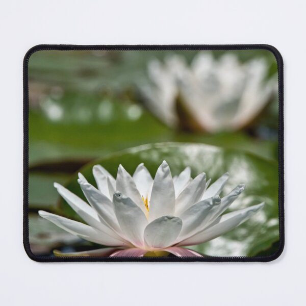 Item preview, White Waterlily designed and sold by Michael Cummings.