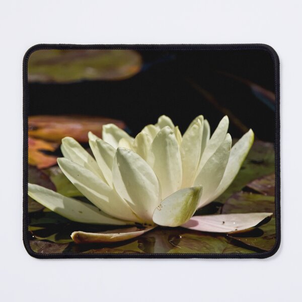 Item preview, White Waterlily designed and sold by Michael Cummings.
