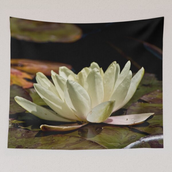Item preview, White Waterlily designed and sold by Michael Cummings.