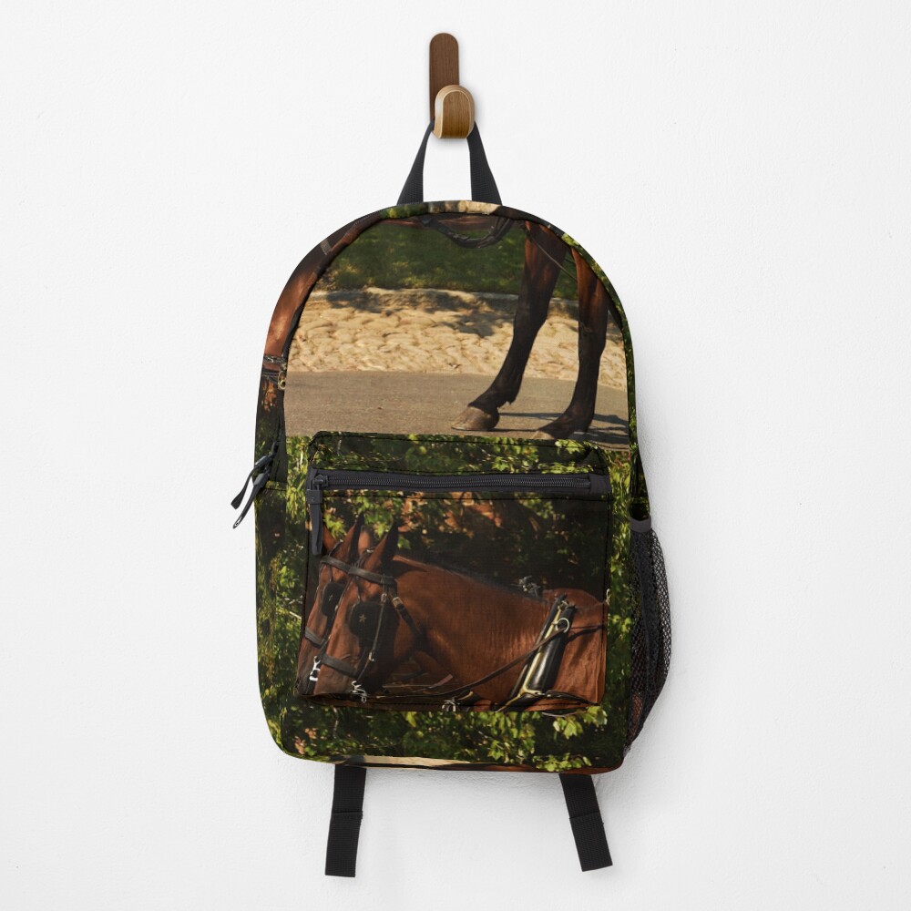 Item preview, Backpack designed and sold by HecateBast.
