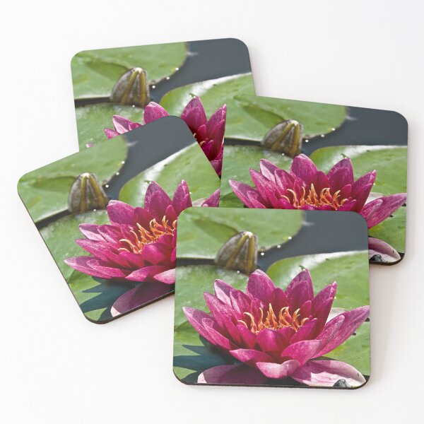 Item preview, Red Waterlily designed and sold by Michael Cummings.