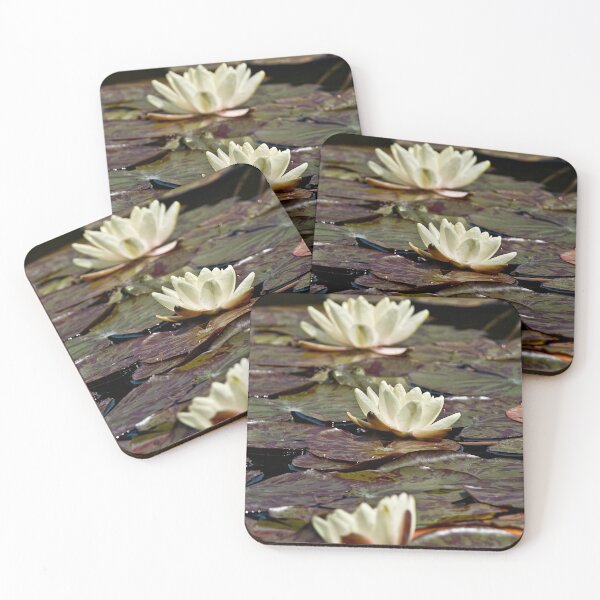 Item preview, White Waterlilies designed and sold by Michael Cummings.