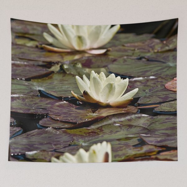 Item preview, White Waterlilies designed and sold by Michael Cummings.