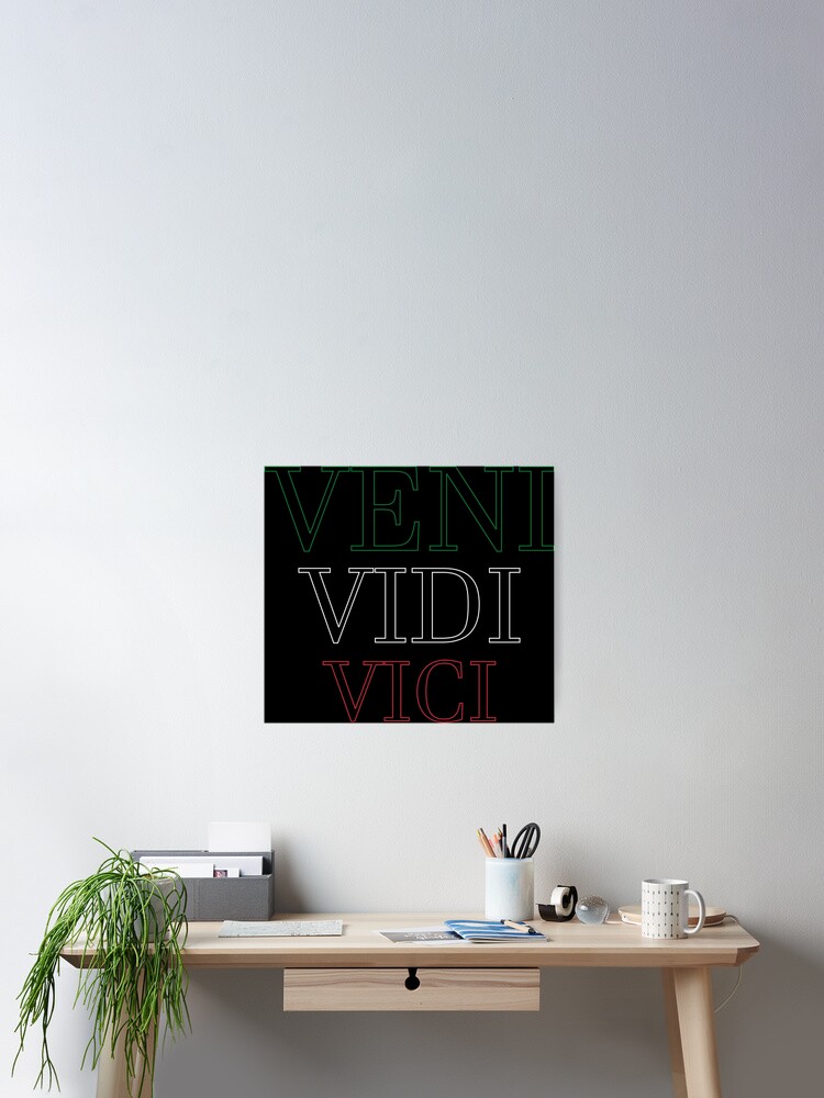 Veni Vidi Vici Poster for Sale by JPK21