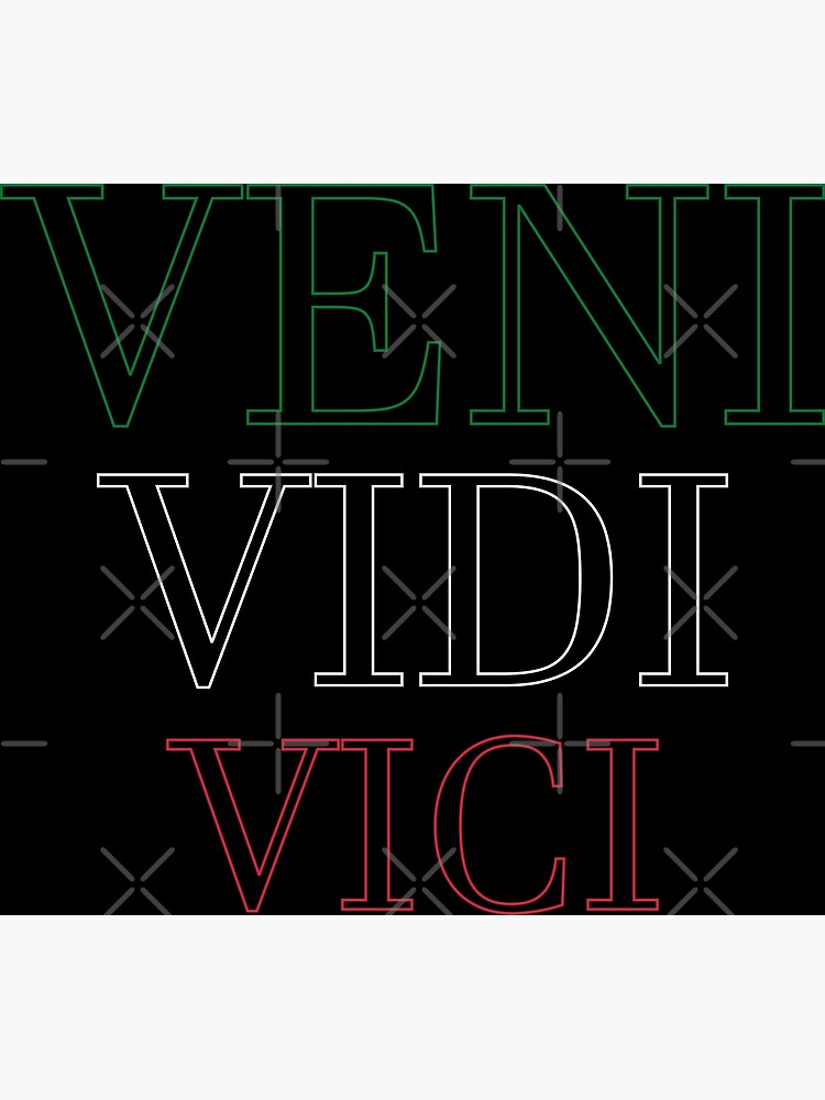 Veni Vidi Vici Poster for Sale by JPK21