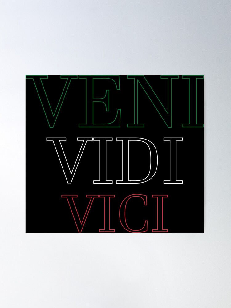 Veni Vidi Vici Poster for Sale by JPK21