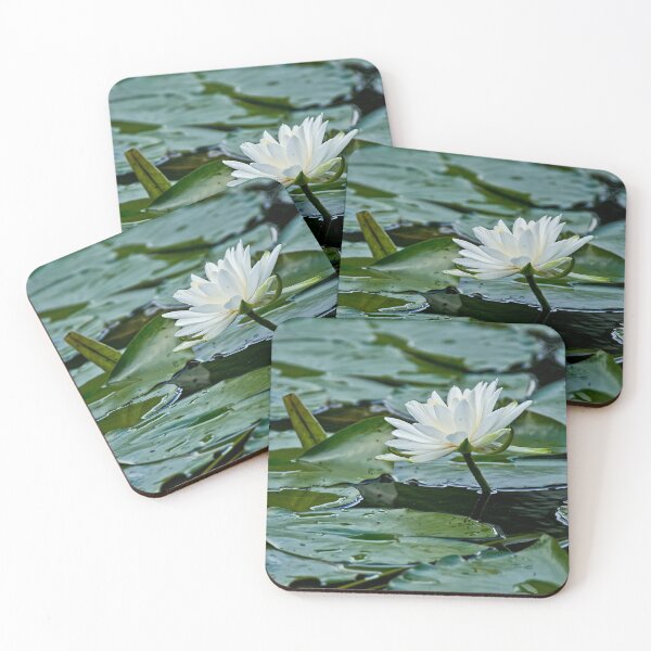 Item preview, White Waterlily designed and sold by Michael Cummings.