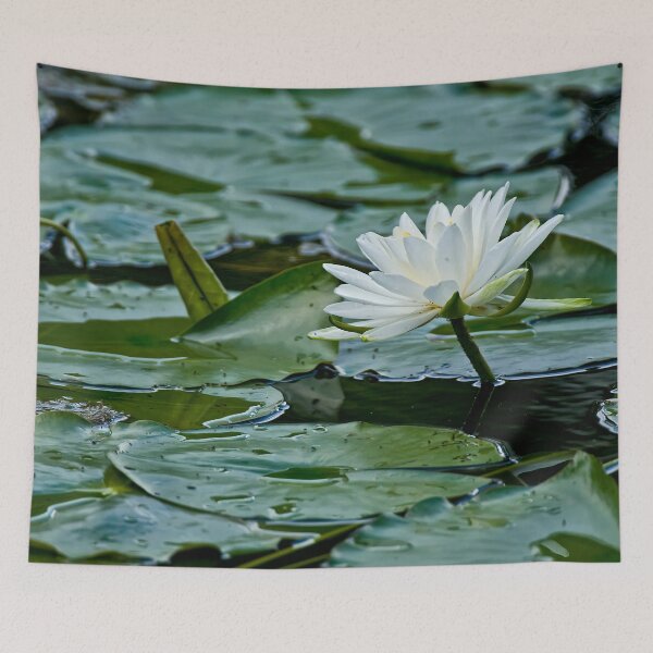 Item preview, White Waterlily designed and sold by Michael Cummings.