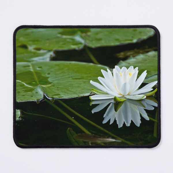 Item preview, White Waterlily designed and sold by Michael Cummings.