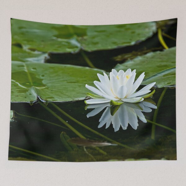 Item preview, White Waterlily designed and sold by Michael Cummings.
